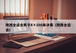 陕西全运会男子4×100米决赛（陕西全运会）