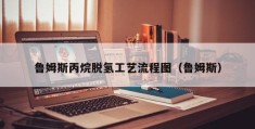 鲁姆斯丙烷脱氢工艺流程图（鲁姆斯）