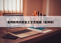 鲁姆斯丙烷脱氢工艺流程图（鲁姆斯）