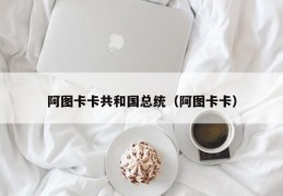 阿图卡卡共和国总统（阿图卡卡）