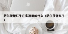 萨尔茨堡红牛在实况里叫什么（萨尔茨堡红牛）