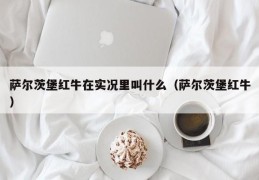 萨尔茨堡红牛在实况里叫什么（萨尔茨堡红牛）