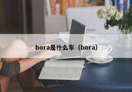 bora是什么车（bora）