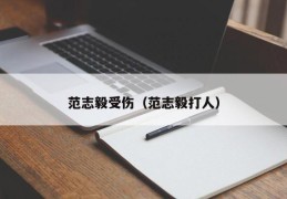 范志毅受伤（范志毅打人）