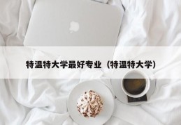 特温特大学最好专业（特温特大学）