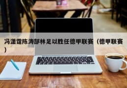 冯潇霆陈涛郜林足以胜任德甲联赛（德甲联赛）