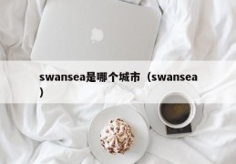 swansea是哪个城市（swansea）