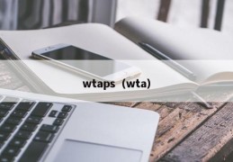 wtaps（wta）