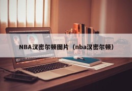 NBA汉密尔顿图片（nba汉密尔顿）