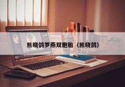 熊晓鸽罗燕双胞胎（熊晓鸽）